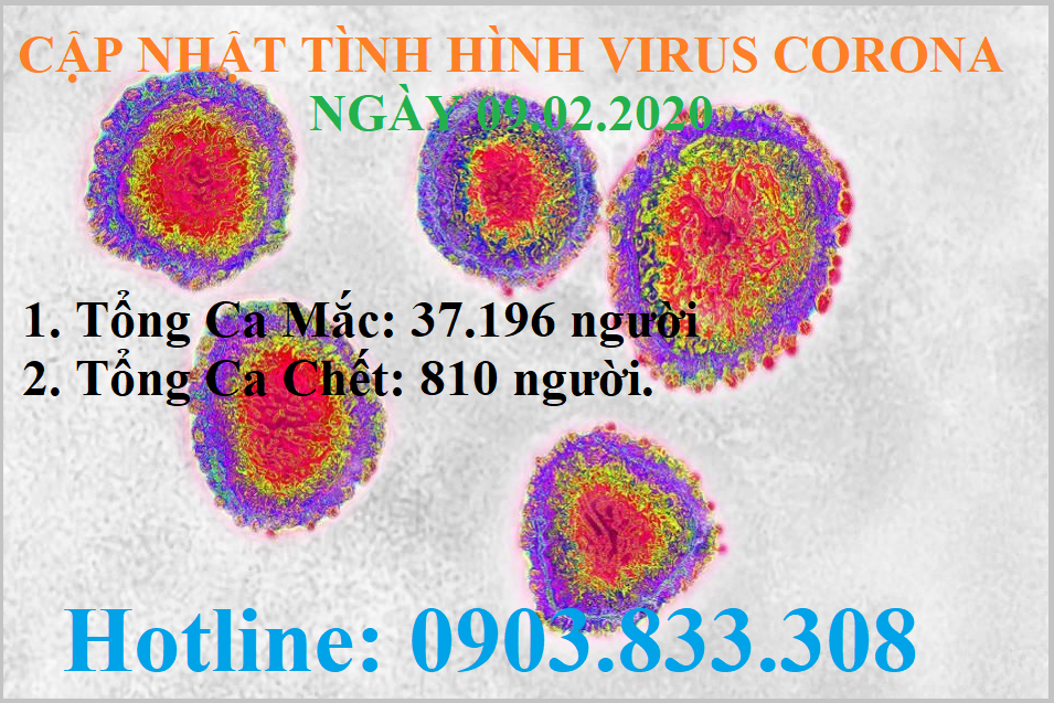 Tin tức mới về dịch do Virus Corona ngày 09.02